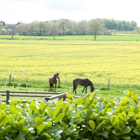 Schoene Aussicht